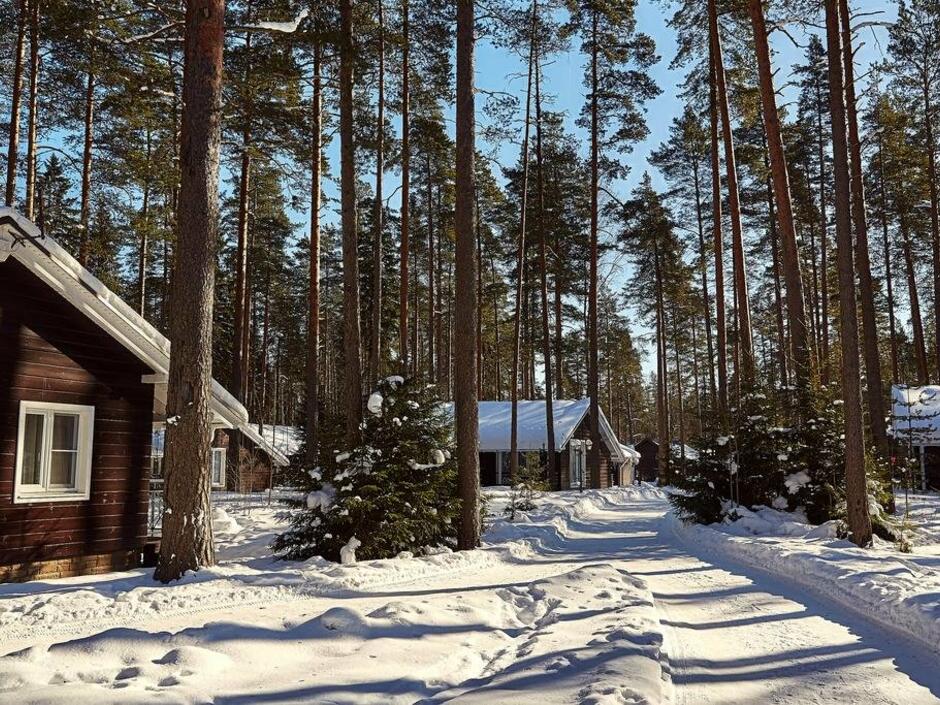 Царство-Королевство 4*