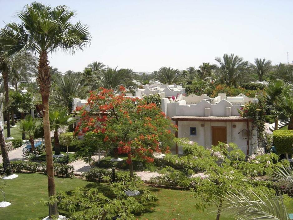 Отель JAZ Fayrouz Resort 4*