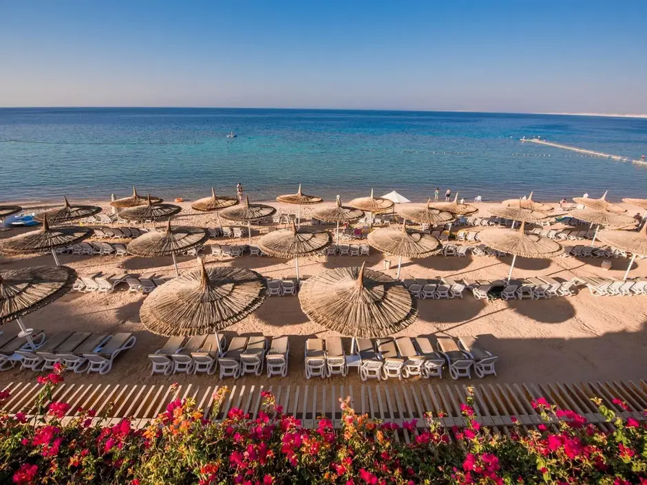 Пляж отеля Sentido Reef Oasis Senses Resort 5*