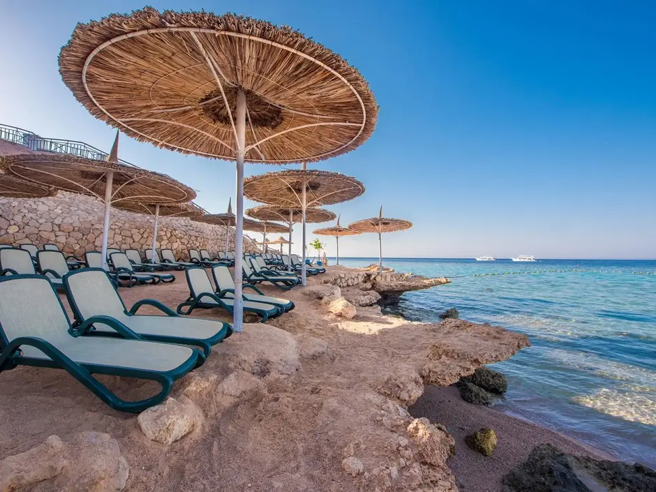 Отдых в отеле Sentido Reef Oasis Senses Resort 5*