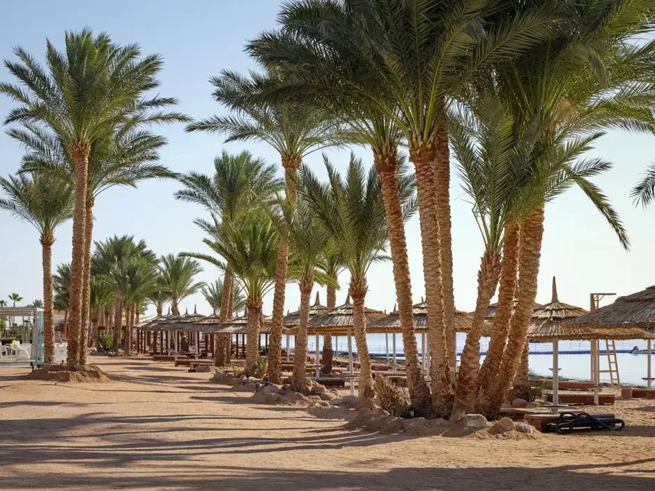 Пляж отеля Coral Sea Sensatori Resort 5*